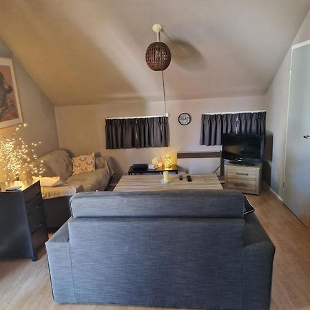 Mon Chalet En Ariege Avec Piscine Daumazan-sur-Arize Ngoại thất bức ảnh