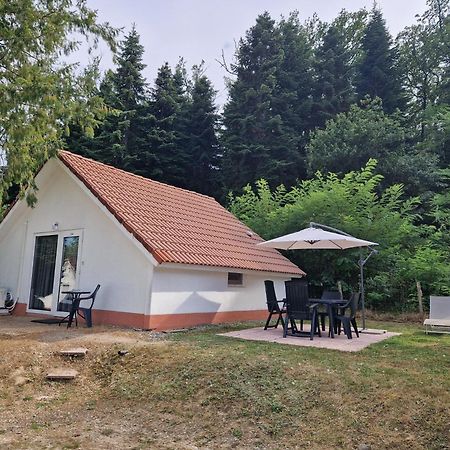 Mon Chalet En Ariege Avec Piscine Daumazan-sur-Arize Ngoại thất bức ảnh