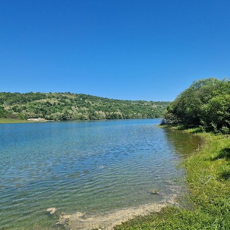 Mon Chalet En Ariege Avec Piscine Daumazan-sur-Arize Ngoại thất bức ảnh