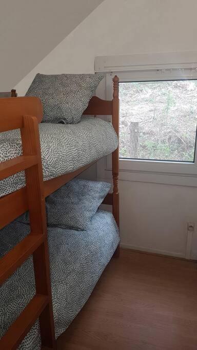 Mon Chalet En Ariege Avec Piscine Daumazan-sur-Arize Ngoại thất bức ảnh