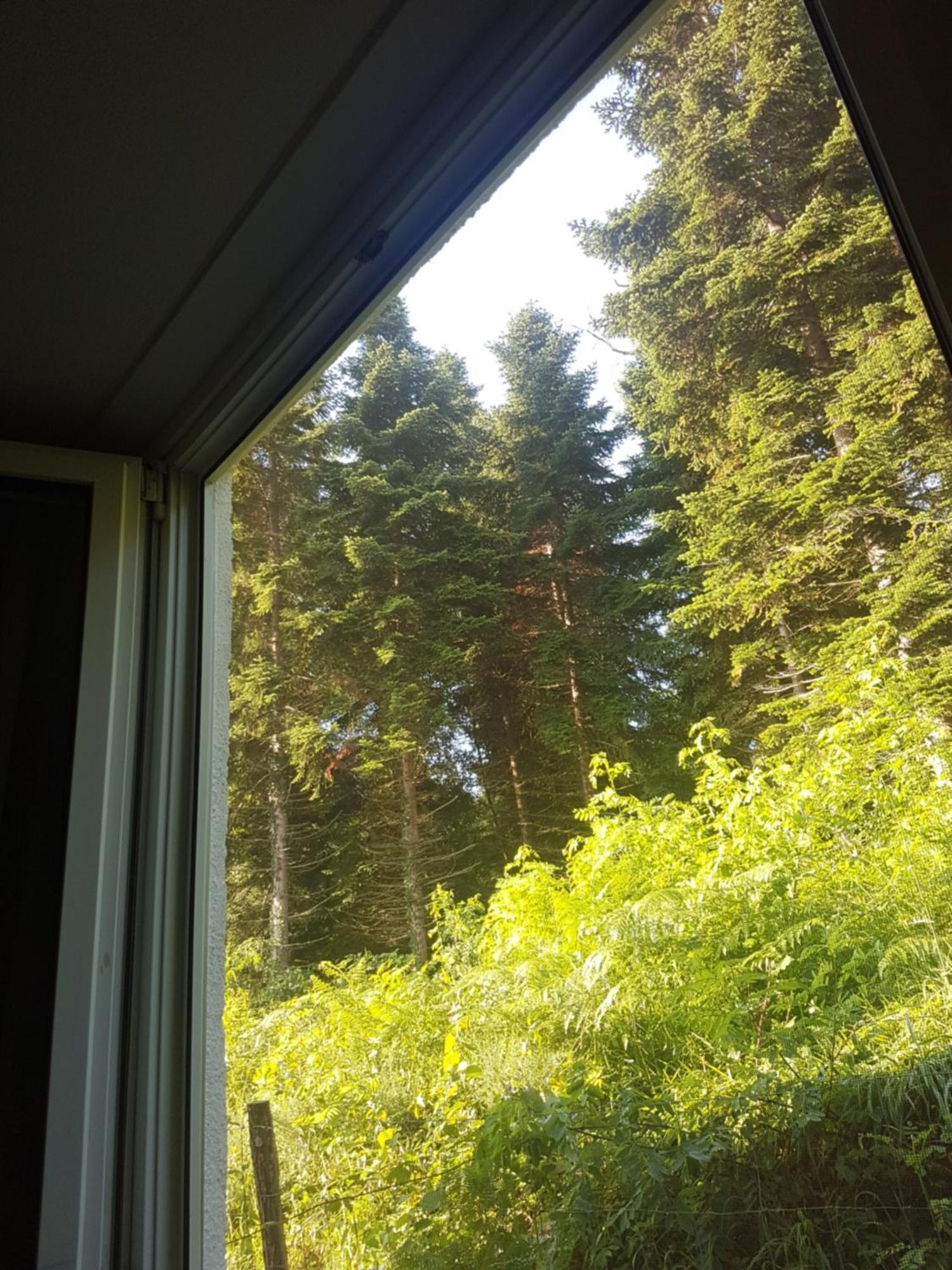 Mon Chalet En Ariege Avec Piscine Daumazan-sur-Arize Ngoại thất bức ảnh