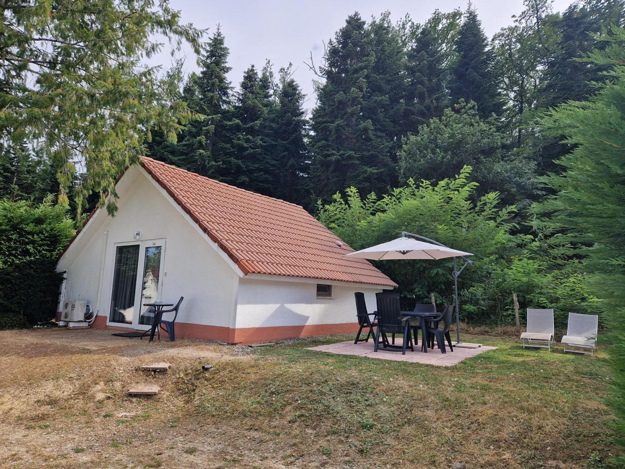 Mon Chalet En Ariege Avec Piscine Daumazan-sur-Arize Ngoại thất bức ảnh